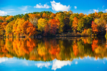 Autumn Reflections
