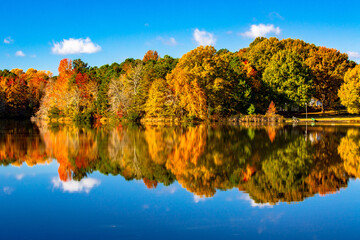 Autumn Reflections