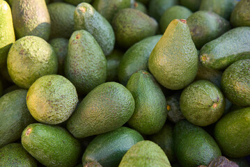 fresh avocado on the market. avocados are very nutritious and contain a wide variety of nutrients.