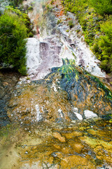 Silica Terrace at Orakei Korako Thermal Park, The Hidden Valley, Waikato Region, North Island, New Zealand