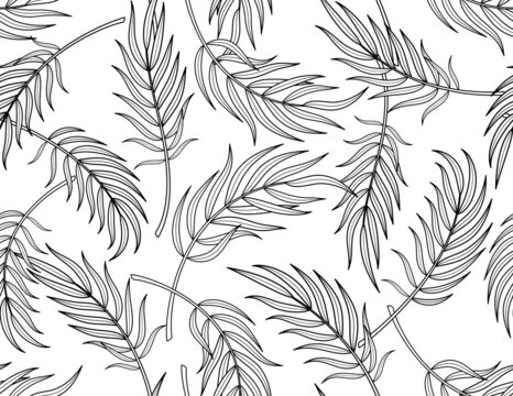 Tropical palm leaves. Summer background template. Seamless pattern of tropical palm branches. Isolated black outline on a white background. Vector illustration