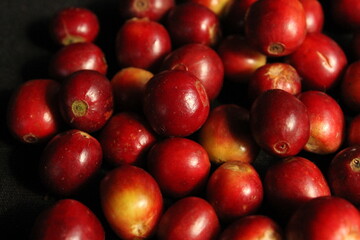 cereza de café especial