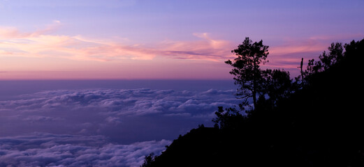 Panoramic Landscape Photo Above the Clouds of a Tree Silhouetted at Sunset from Mount Rinjani, Lombok, Indonesia, Asia, background with copy space