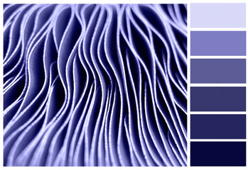 Violet palette created from a natural background in the color of the year 2022 very peri