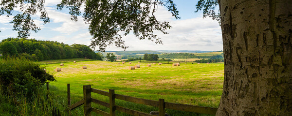Hay bail landscape, Northumberland National Park, near Hexham, England, United Kingdom, Europe