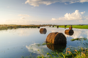 Hay rolls are located in flooded river water in the autumn. Floods, flood.