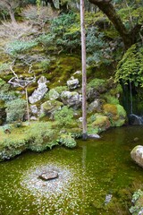 Japan lucky coins in pond