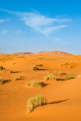 Fototapeta na wymiar Sand dune landscape at Erg Chebbi Desert, Sahara Desert near Merzouga, Morocco, North Africa, Africa, background with copy space