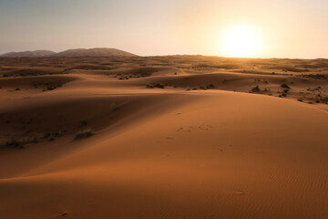 Fototapeta na wymiar Erg Chebbi sunrise, Sahara Desert near Merzouga, Morocco, North Africa, Africa, background with copy space