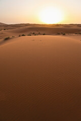 Fototapeta na wymiar Erg Chebbi desert at sunrise, Sahara Desert near Merzouga, Morocco, North Africa, Africa, background with copy space