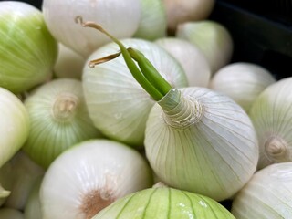 Group of white onions for sale in the market