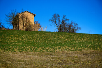 Colli Tortonesi (AL)