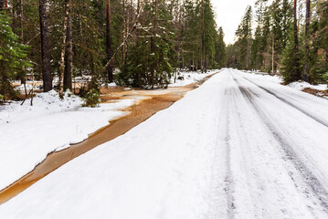 Forest road and ditch with yellow-brown water in snowy winter thaw day.