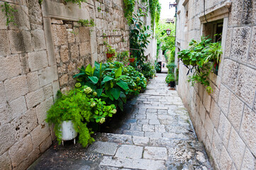 Korcula Town, photo of a narrow side street, Korcula Island, Dalmatia (Dalmacija), Croatia