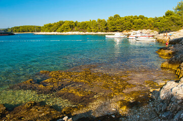 Photo of a rocky beach in the Pakleni Islands, Dalmatia, Croatia - obrazy, fototapety, plakaty