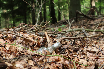 Empty bottle in the forest among leaves