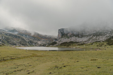 Picos de Europa