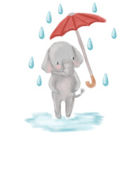 elephant in the rain