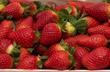 Some delicious background strawberries, freshly picked, and put in a wooden box. One of the largest harvests is produced in the province of Huelva, Spain.
