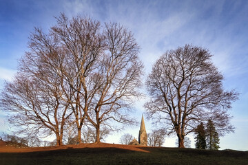 V&aring;lerenga chuch between trees