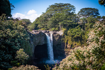 Hawaiian Waterfall