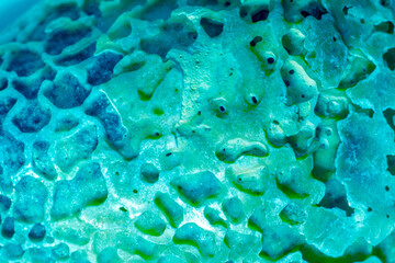 Abstract background. Macro photography of a seashell, uneven surface. Selected sharpness.