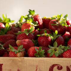 strawberry crate
