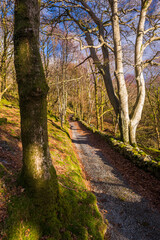 Fototapeta premium Croesor Valley, Snowdonia National Park, North Wales
