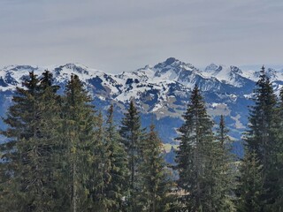 snow covered mountains