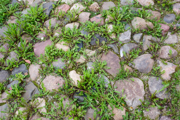 Old brown and grey cobblestone pavement with green grass