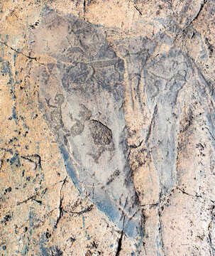 Petroglyphs of the Peri Nos cape on Onega lake, northern Russia. Mysterious animais and sexual scene. Prehistoric carvings on granite. Stone age native art