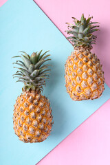 Fresh pineapple fruit on pastel color background, Tropical fruit