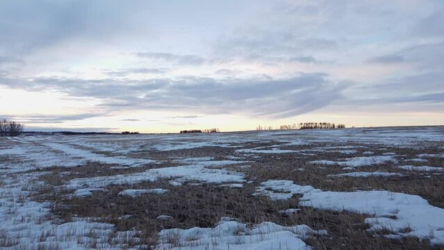 Aerial tilt reveal of a snow covered winter wheat field on the Alberta prairies under a morning sky.