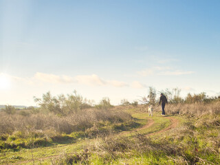 PERSON WALKING A DOG ON A SUNNY DAY AMONG BUSHES AND BLUE SKY