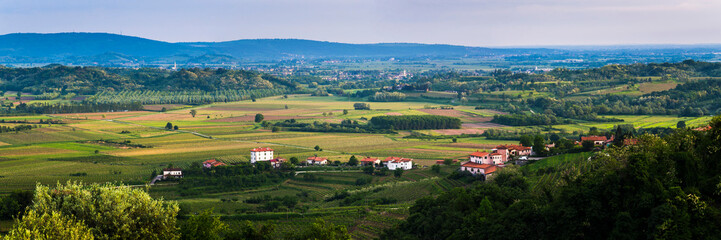 Slovenia wine region countryside, Goriska Brda (Gorizia Hills), Slovenia, Europe - obrazy, fototapety, plakaty