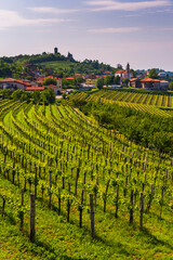 Kojsko, Goriska Brda, Slovenia. View of vineyards and Kojsko, Goriska Brda (Gorizia Hills),...