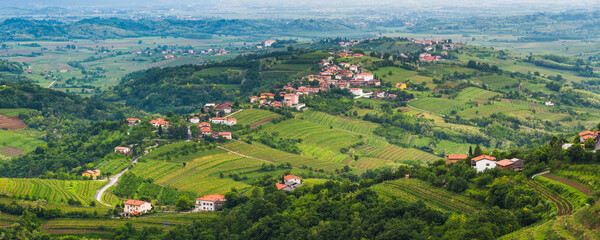 Kozana surrounded by vineyards in Goriska Brda (Gorizia Hills), in Brda, the wine region of Slovenia, Europe - obrazy, fototapety, plakaty