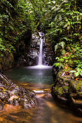 Cucharillos Waterfall in the Choco Rainforest, Ecuador. This area of jungle is the Mashpi Cloud Forest in the Pichincha Province of Ecuador, South America