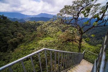 Mashpi Cloud Forest 26m tall observation tower, Choco Rainforest, Ecuador, South America