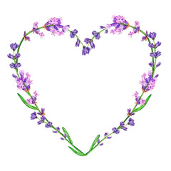 Heart of watercolor lavender flowers isolated on white background