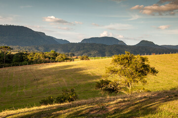 autumn in the mountains in Urubici , Santa catarina