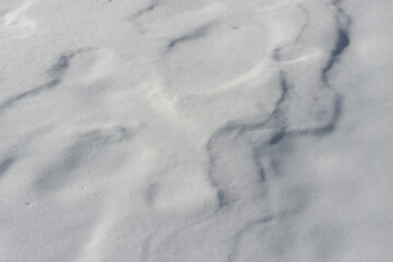 abstract winter composition 