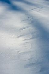 Fototapeta na wymiar pattern on snow caused by drifting 