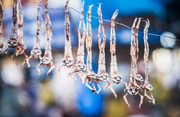 Dried frogs for frog soup, San Camilo Market (Mercado San Camilo), Arequipa, Peru, South America