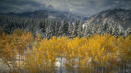 Fototapety  Aspen Drone Snow Fall