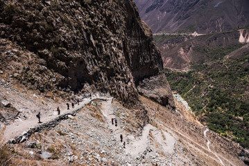 Tourist hiking the Colca Canyon trek, Peru, South America
