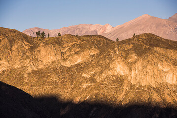 Colca Canyon at sunrise, Peru, South America