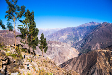 Colca Canyon, Peru, South America