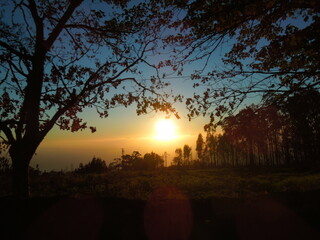 Fototapeta na wymiar beautiful sunset in the forest 