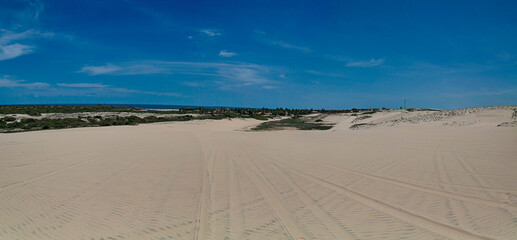 Fototapeta premium sand dunes on the beach